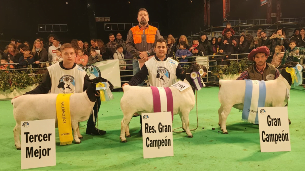 Criador e Medico Veterinario brasileiro e destaque como jurado das racas Dorper e White Dorper em exposicao na Argentina 2